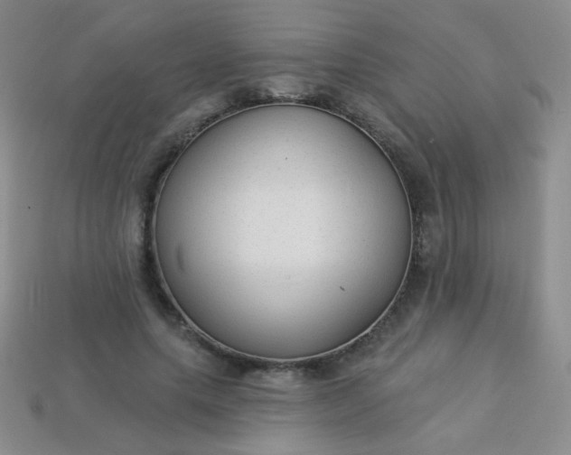 X0000113960639200910091630