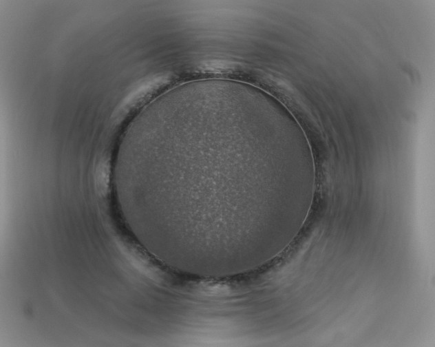 X0000113960640200910091630