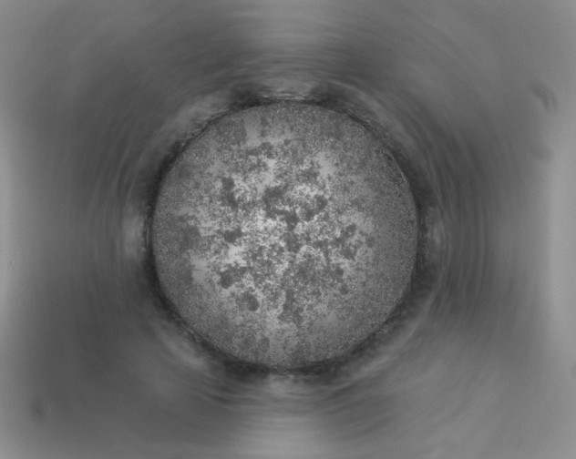 X0000113960641200910091630