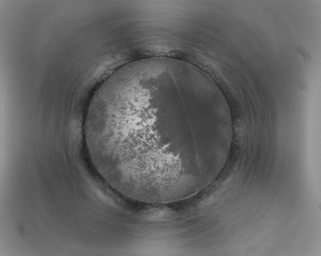 X0000113960642200910091630