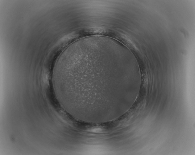 X0000113960643200910091630