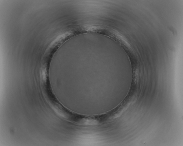 X0000113960644200910091630