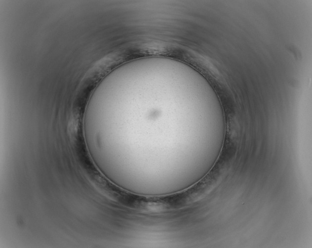 X0000113960645200910091630