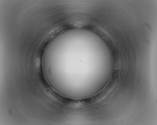 X0000113960646200910091630