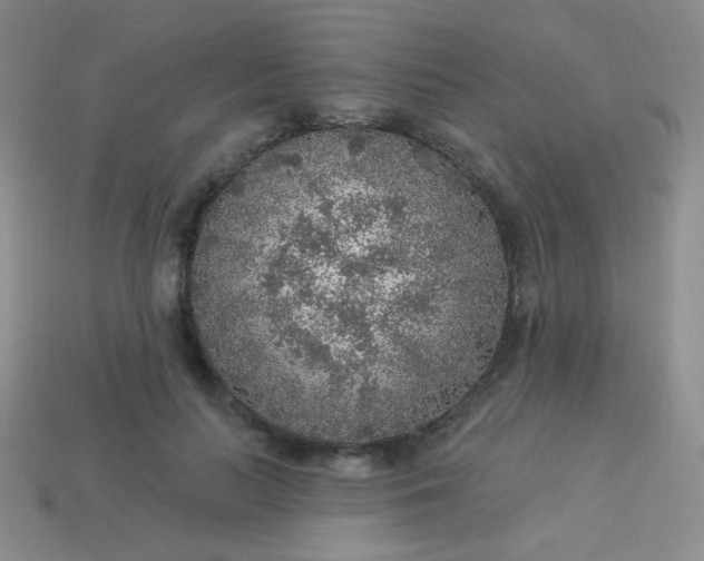 X0000113960647200910091630