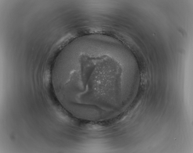 X0000113960648200910091630