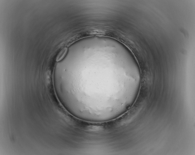 X0000113960649200910091630