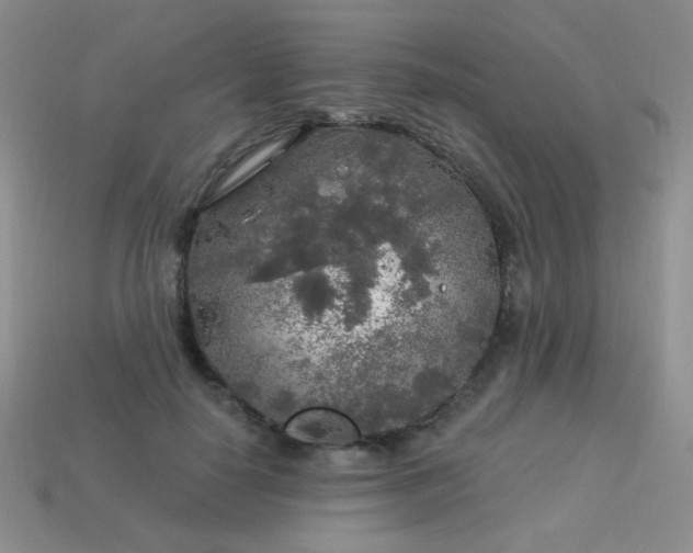 X0000113960650200910091630