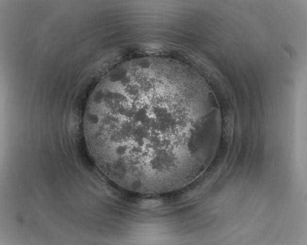 X0000113960653200910091630