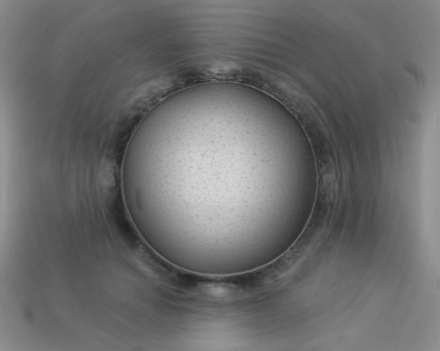 X0000113960654200910091630