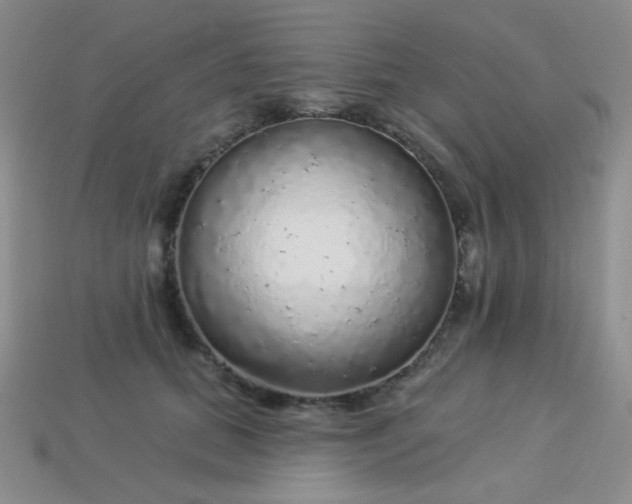 X0000113960655200910091630