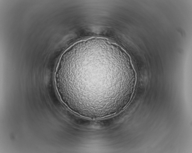 X0000113960656200910091630