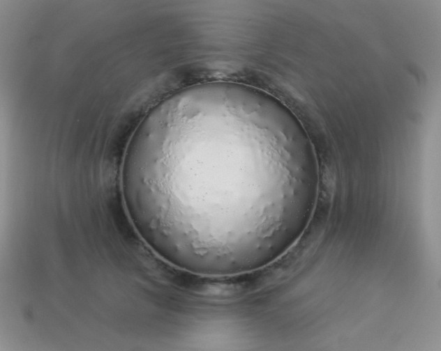 X0000113960657200910091630