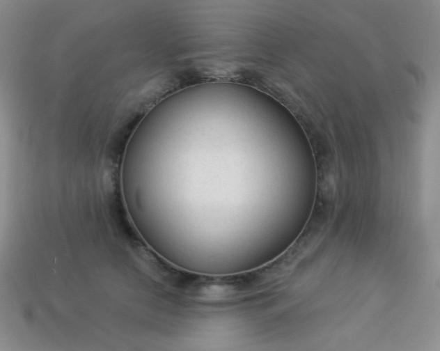 X0000113960658200910091630