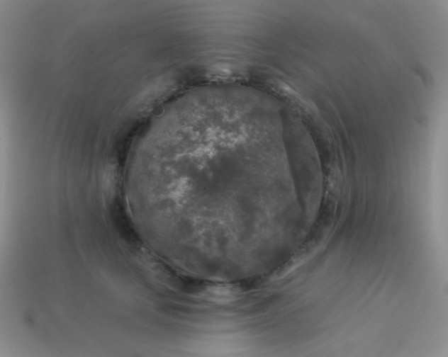 X0000113960659200910091630