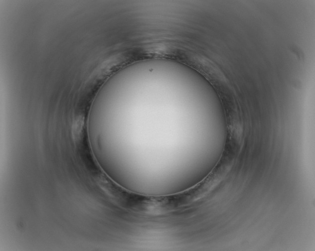 X0000113960660200910091630