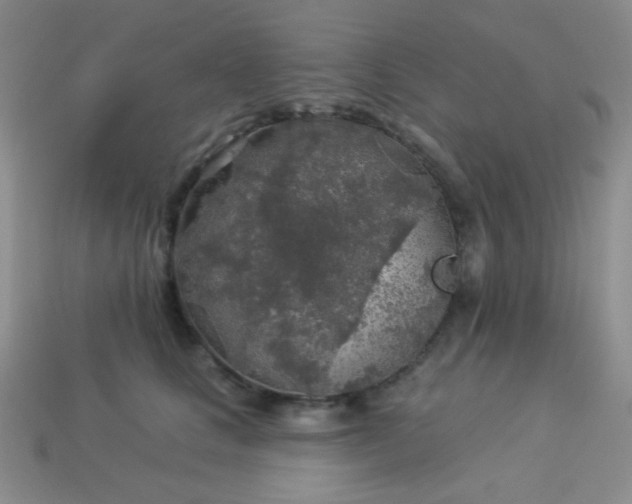 X0000113960661200910091630