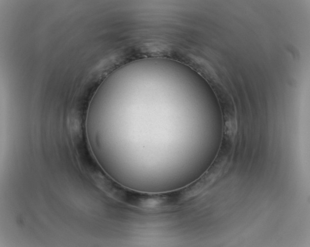 X0000113960662200910091630