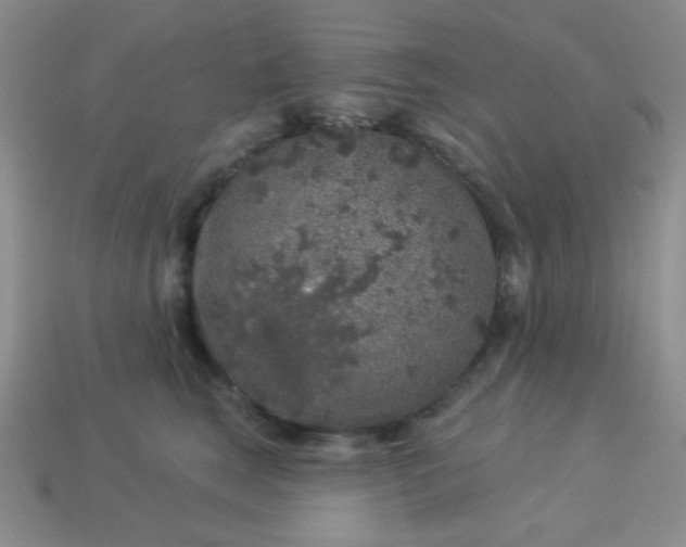 X0000113960663200910091630