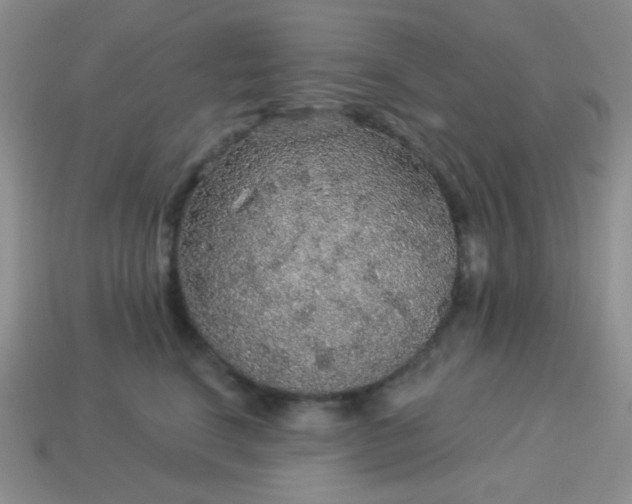 X0000113960664200910091630