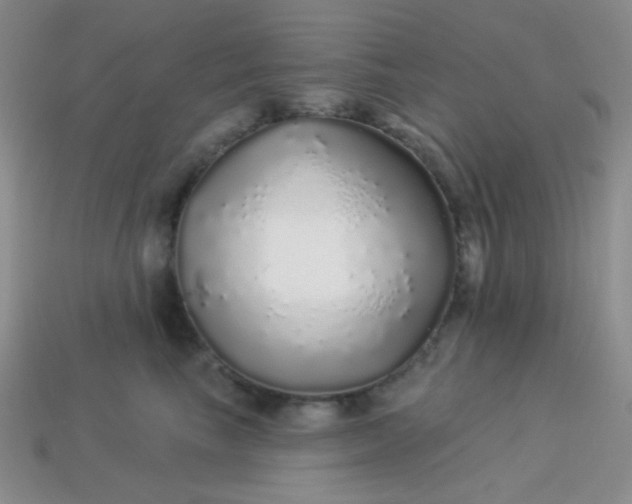 X0000113960665200910091630