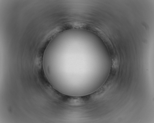 X0000113960666200910091630