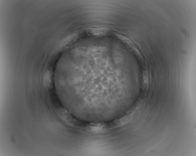 X0000113960667200910091630