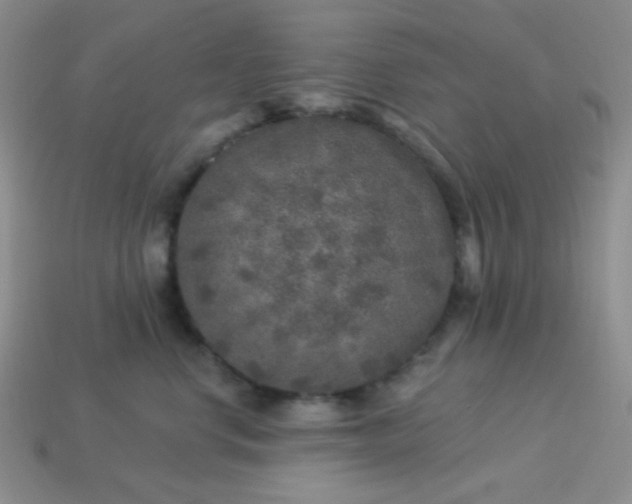 X0000113960668200910091630