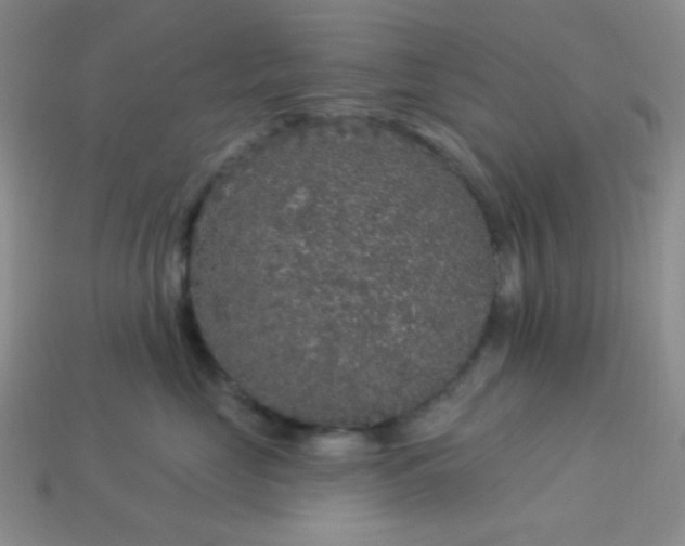 X0000113960669200910091630