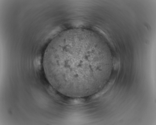 X0000113960670200910091630