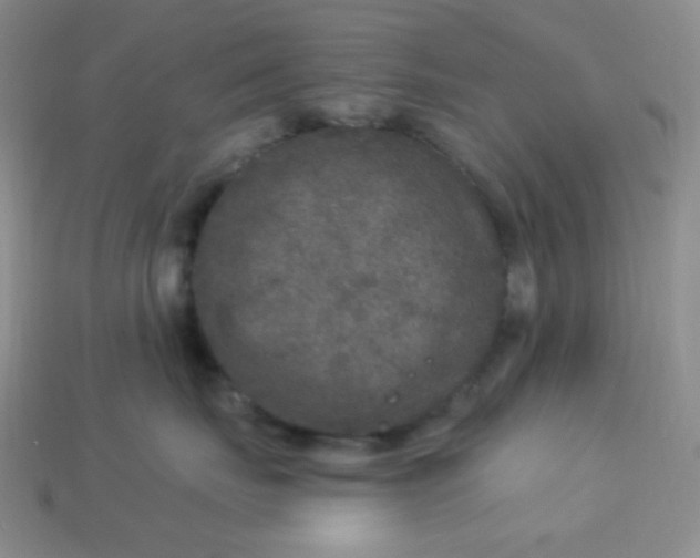 X0000113960671200910091630