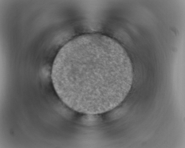 X0000113960672200910091630