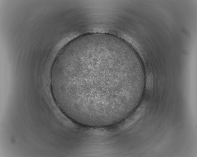 X0000113960673200910091630