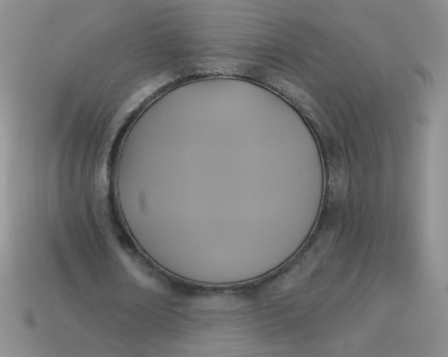 X0000113960674200910091630