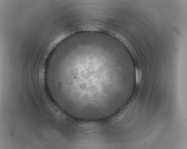 X0000113960675200910091630