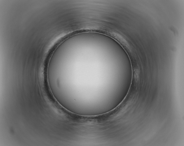 X0000113960676200910091630