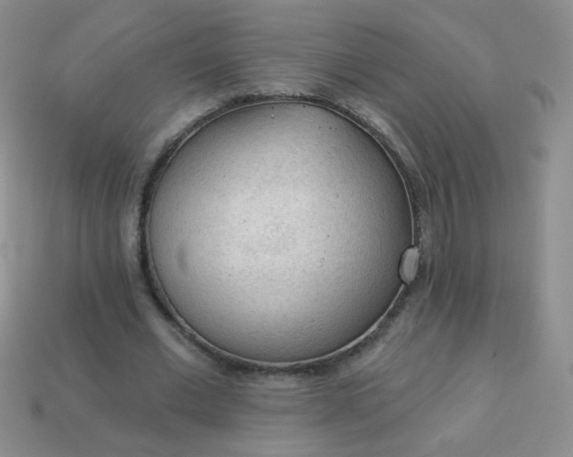 X0000113960677200910091630