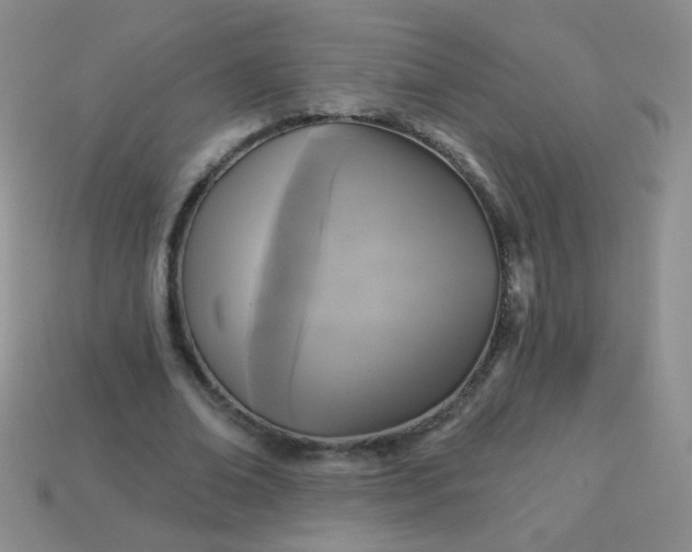 X0000113960678200910091630