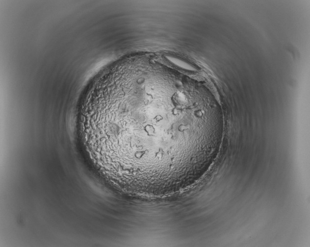 X0000113960679200910091630