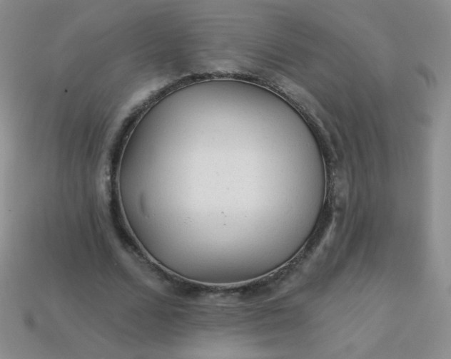 X0000113960680200910091630