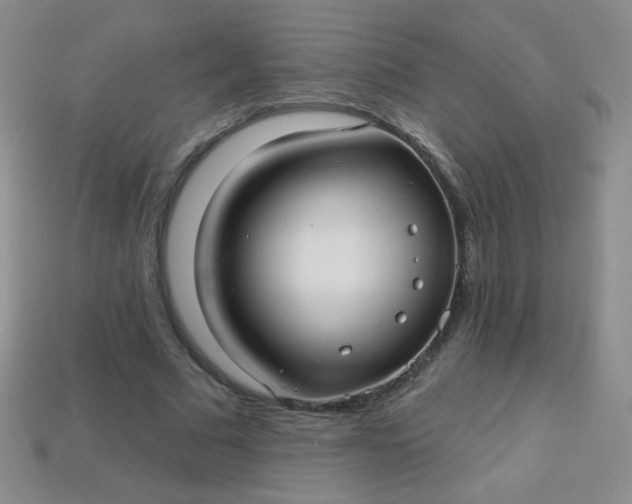 X0000113960681200910091630