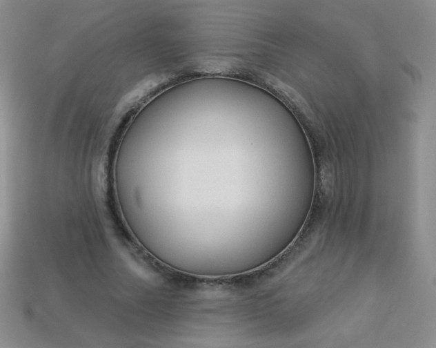 X0000113960682200910091630