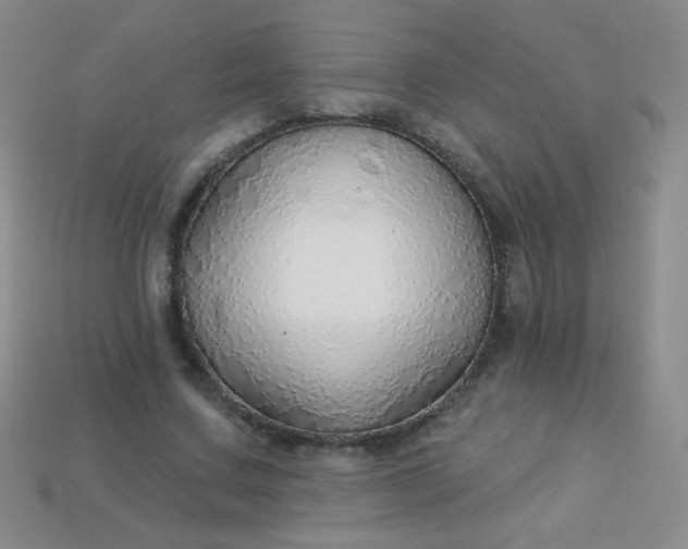 X0000113960683200910091630