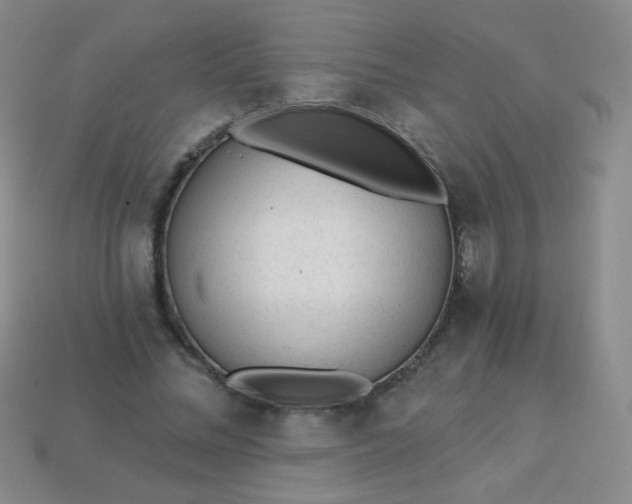 X0000113960684200910091630