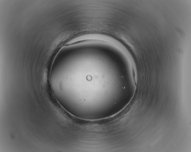 X0000113960685200910091629