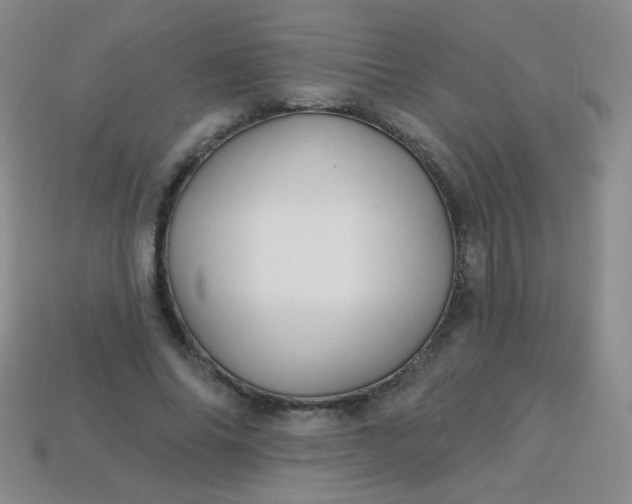 X0000113960686200910091629