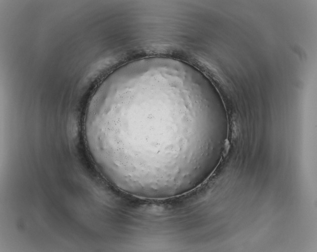 X0000113960687200910091629