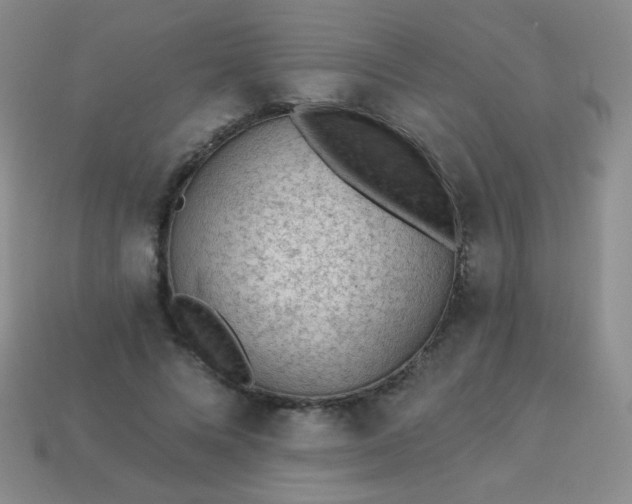 X0000113960688200910091629