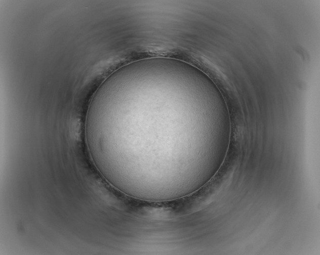 X0000113960689200910091629