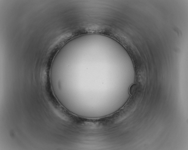 X0000113960690200910091629